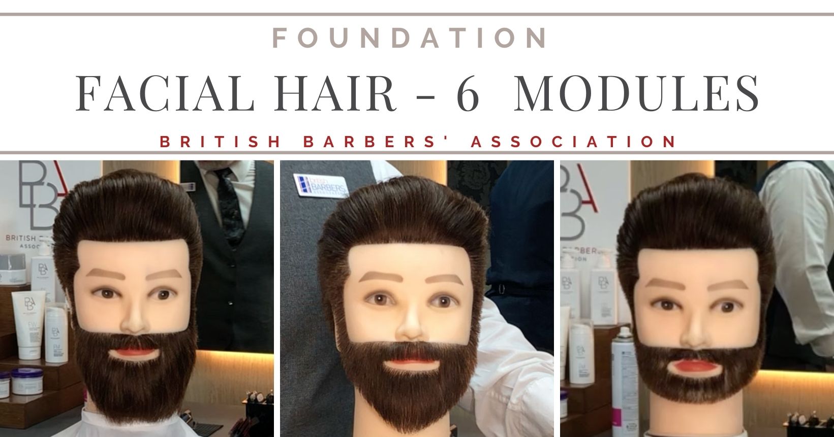 Foundation Facial Hair - Modules 1 to 6